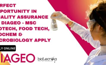 Quality Assurance Job at DIAGEO