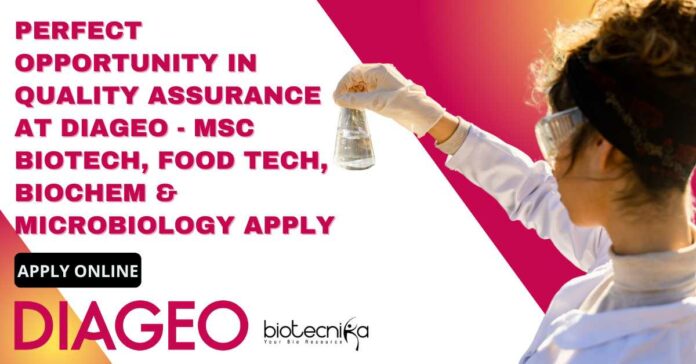 Quality Assurance Job at DIAGEO