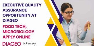 Executive QA Job at DIAGEO