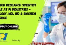 Senior Research Scientist Role