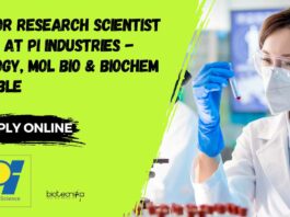 Senior Research Scientist Role