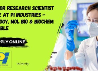 Senior Research Scientist Role