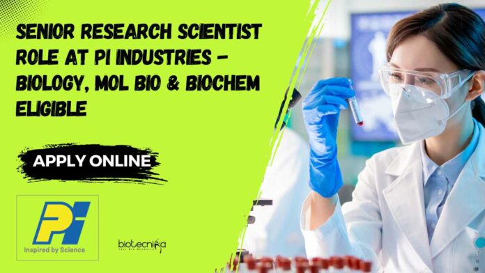 Senior Research Scientist Role