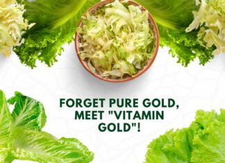 Scientists Made a Golden Lettuce That Comes With a Vitamin Boost Golden Lettuce Genetic Engineering