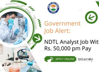 Govt NDTL Analyst Job