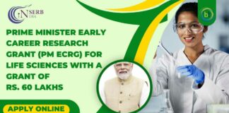 Prime Minister Early Career Research