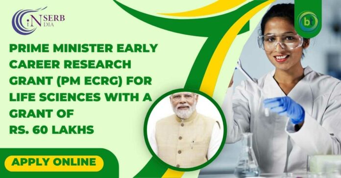 Prime Minister Early Career Research