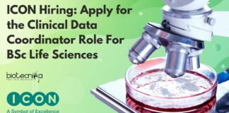 ICON Hiring