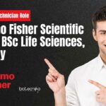 Thermo Fisher BSc Biology