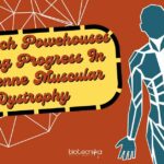 6 Biotech Powehouses Making Progress In Duchenne Muscular Dystrophy 6 Biotech Powerhouses Making Progress In Duchenne Muscular Dystrophy