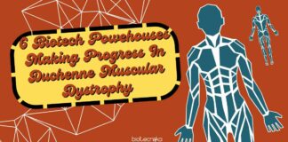 6 Biotech Powerhouses Making Progress In Duchenne Muscular Dystrophy