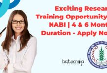 NABI Research Training 2025