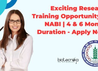 NABI Research Training 2025