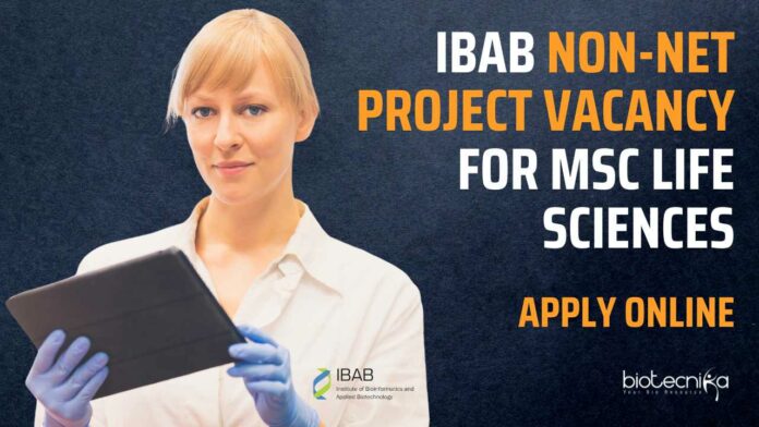 IBAB Non-NET Project Vacancy