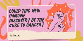 Cure for Cancer Discovery - New Immune Research Gives Hope!