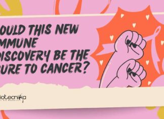 Cure for Cancer Discovery - New Immune Research Gives Hope!