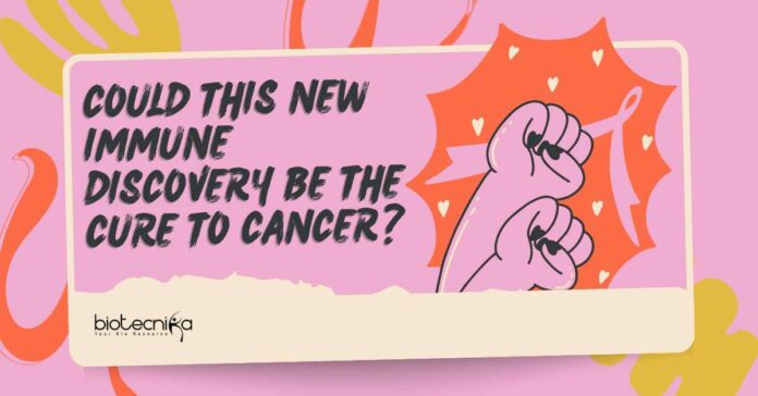 Cure for Cancer Discovery - New Immune Research Gives Hope!