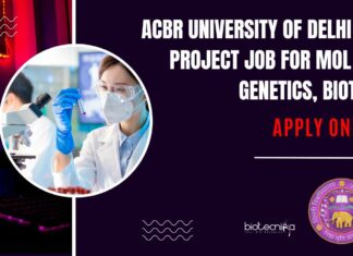ACBR Delhi BSc Project Job