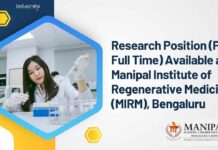Research Position (PhD Full Time)