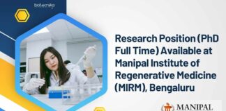 Research Position (PhD Full Time)