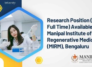 Research Position (PhD Full Time)