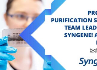 Protein Purification Job Syngene