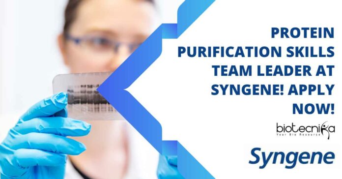 Protein Purification Job Syngene