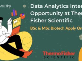 Data Analytics Intern Opportunity