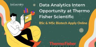 Data Analytics Intern Opportunity