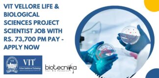 VIT Vellore Scientist Vacancy