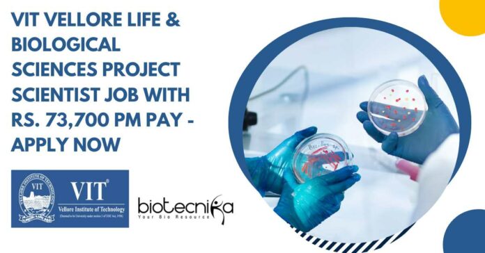 VIT Vellore Scientist Vacancy