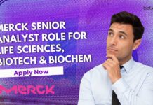 Merck Senior Analyst Role