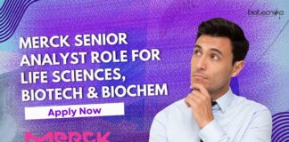 Merck Senior Analyst Role