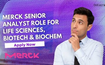 Merck Senior Analyst Role
