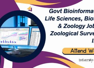 Govt Bioinformatics Job ZSI