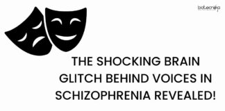 Schizophrenia Hearing Voices Research - Why Does It Happen!