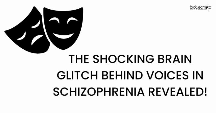 Schizophrenia Hearing Voices Research - Why Does It Happen!