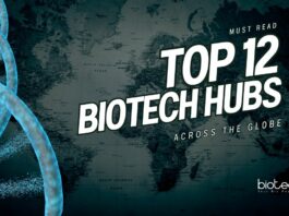 Top 12 Biotech Hubs