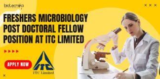 Freshers Microbiology Post Doctoral Fellow