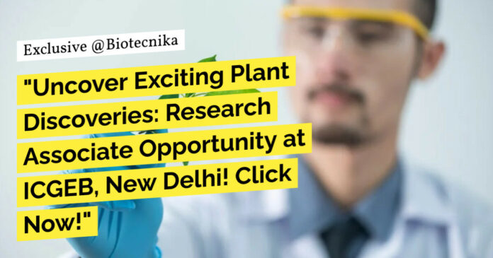 ICGEB Delhi PhD Jobs For Life Sciences, Plant Mol Bio - Attend Walk-In