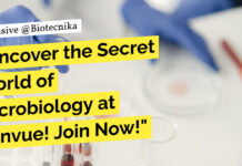 Microbiology Scientist Jobs at Kenvue - MSc Apply Online