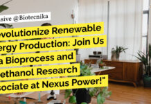Nexus Power Hiring For Bioprocess and Bioethanol Research Associate - Apply Now