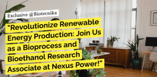 Nexus Power Hiring For Bioprocess and Bioethanol Research Associate - Apply Now