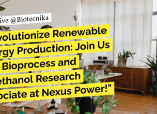Nexus Power Hiring For Bioprocess and Bioethanol Research Associate - Apply Now