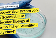 Thermo Fisher Scientist Vacancies - Mol Bio & Life Sciences Apply