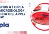 Cipla BSc Jobs Microbiology – Apply For Team Member Role Cipla BSc Jobs Microbiology - Apply For Team Member Role