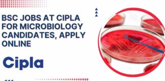 Cipla BSc Jobs Microbiology - Apply For Team Member Role