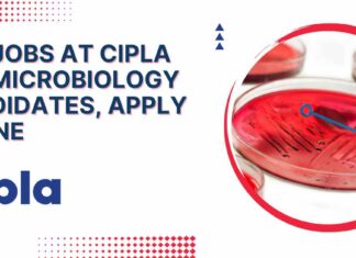 Cipla BSc Jobs Microbiology - Apply For Team Member Role