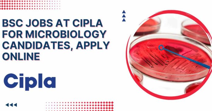 Cipla BSc Jobs Microbiology - Apply For Team Member Role