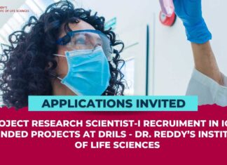 DRILS Project Research Scientist Job